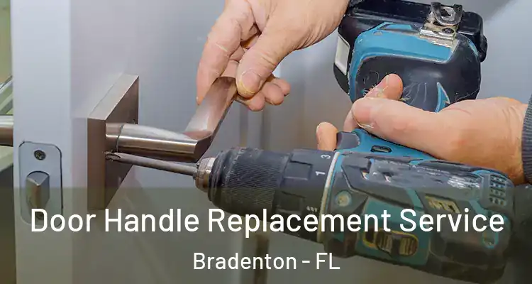  Door Handle Replacement Service Bradenton - FL