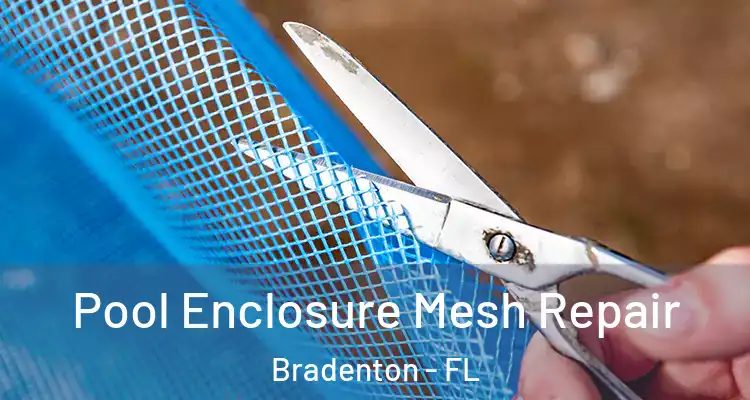  Pool Enclosure Mesh Repair Bradenton - FL