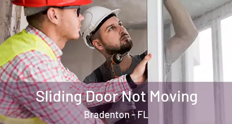  Sliding Door Not Moving Bradenton - FL